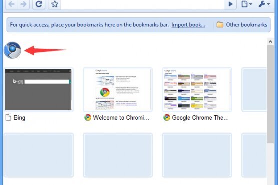 Chromium 133.0.6846