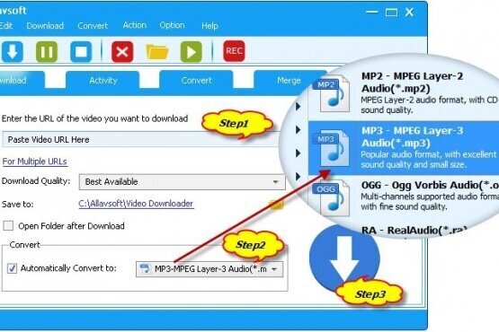 Allavsoft Video Downloader Converter 3.27.9.9194 | Portable | RePack by elchupacabra