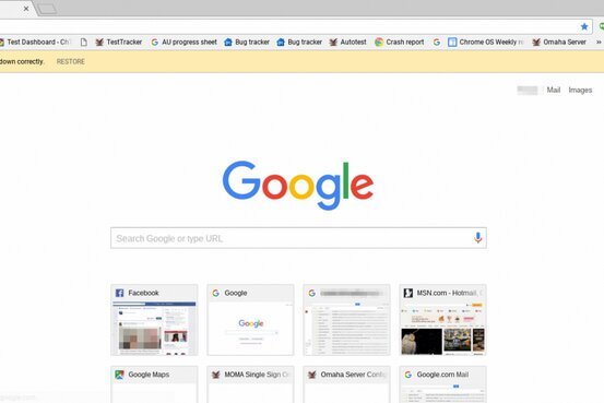 Google Chrome 130.0.6723.117 | Portable | Android | iOS