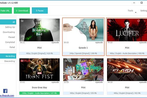 FlixGrab Plus 1.8.0.2288 Premium