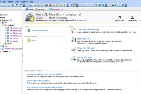 AnySQL Maestro Professional 16.12.0.15