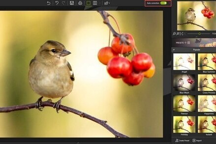 Avanquest InPixio Photo Editor 10.4.7625.29543 | Portable