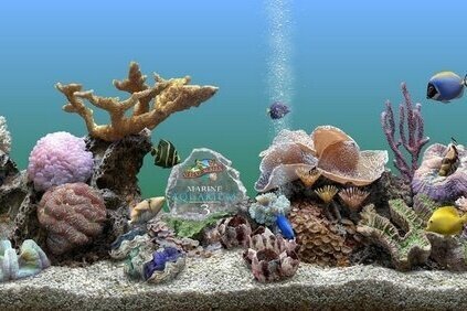 SereneScreen Marine Aquarium 3.3.6381 | RePack by elchupacabra