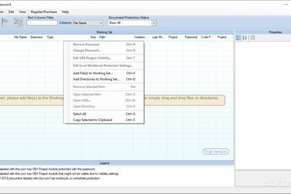 Reset VBA Password 6.17.1.8