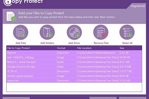 Copy Protect 2.0.6 | Portable