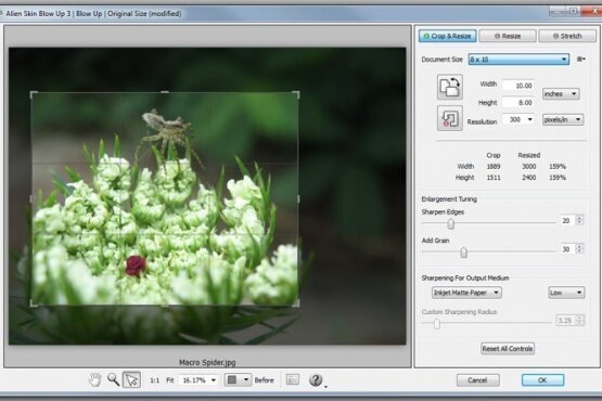 Exposure Software Blow Up 3.1.6.7
