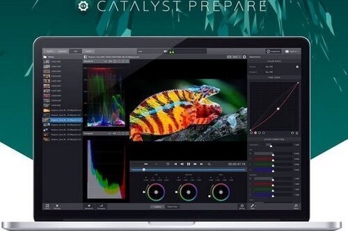 Sony Catalyst Prepare 2024.1.1