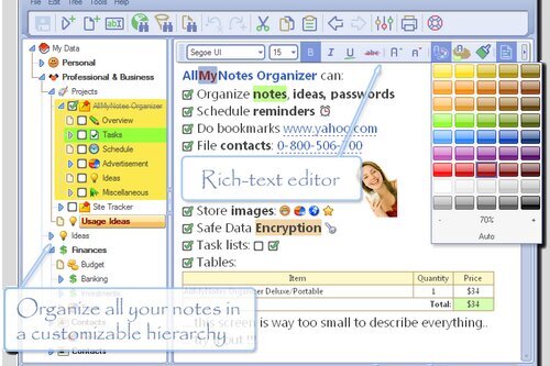 AllMyNotes Organizer Deluxe 3.50 Build 1033 Final Retail | Portable