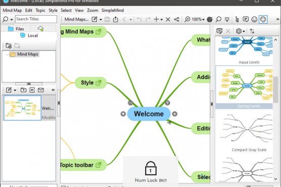 SimpleMind Pro 2.5.1 Build 6520 | Portable