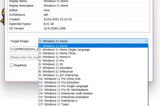 Windows 11 build 25281 with ReFS Feature ID Enabled