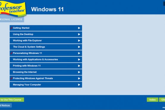 Individual Software Professor Teaches Windows 11 v3.1 | Portable