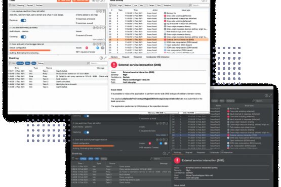 Burp Suite 2024.10.2 Professional 