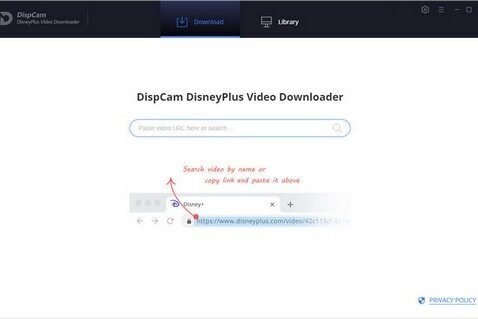 DispCam 1.4.0 