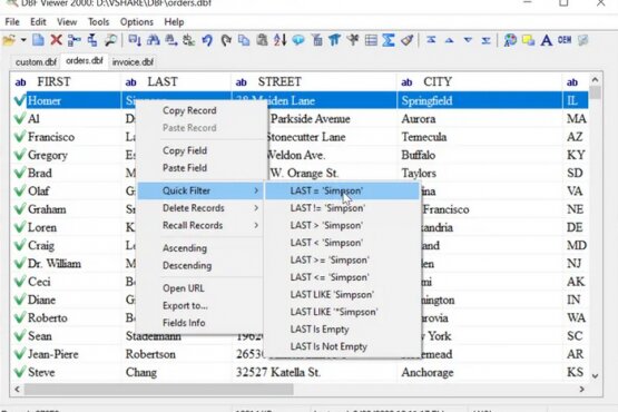 DBF Viewer 2000 v8.67 | Portable