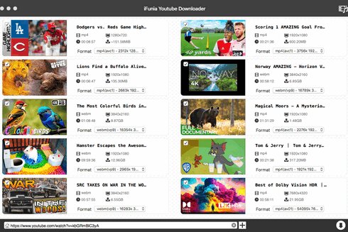 iFunia YouTube Downloader 2.1.0