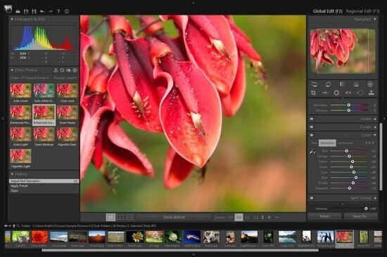 PT Photo Editor Pro Edition 5.10.4.0 | Portable