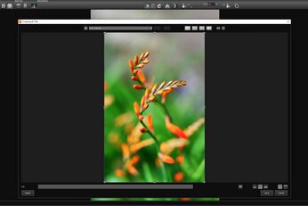 Franzis AI Filter #1 Professional 1.11.03926 | Portable