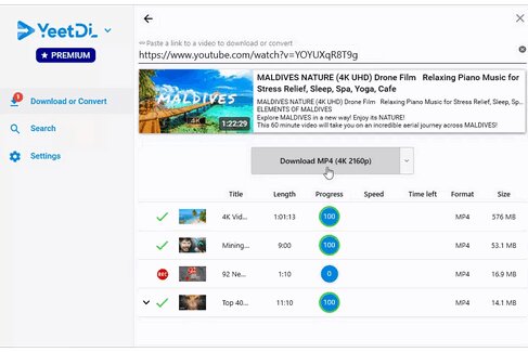 YeetDL Premium 1.2.126