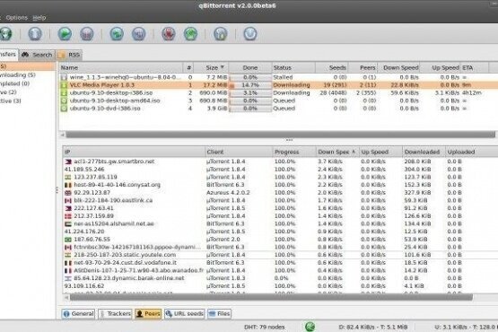 qBittorrent 5.0.2 | Portable