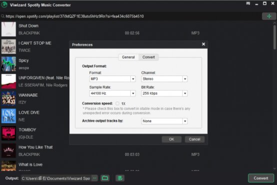 ViWizard Spotify Music Converter 2.18.0.108