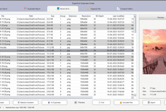 DupInOut Duplicate Finder 1.1.3.5