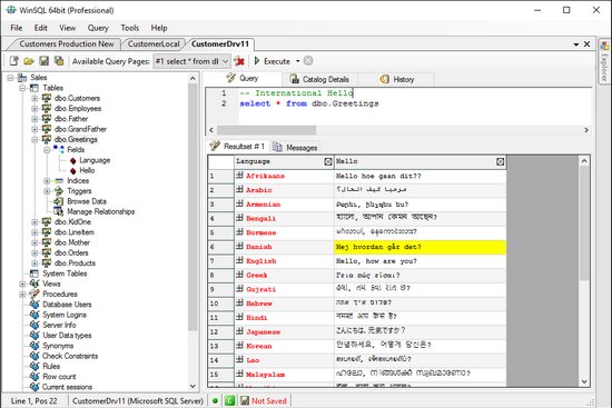 Synametrics Technologies WinSQL 18.0.288