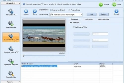 GetFLV Pro 31.2411.05