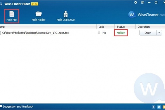 Wise Folder Hider 5.0.6.236 Pro | Portable