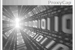 Proxy Labs ProxyCap 5.37 | Portable