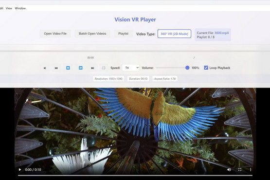 Cainey Studio Vision VR Player 6.6.1.0