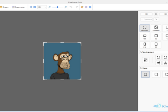 PhoXoSee 1.12 Build 2606 | Portable